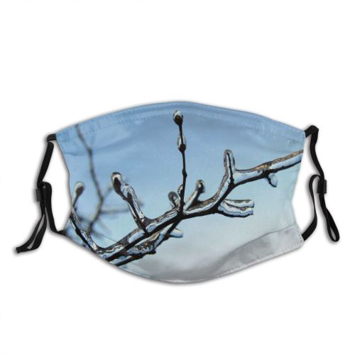 yanfind Winter Frozen Freeze Spring Stem Winter Blizzard Leaves Branch Sky Plant Ice Dust Washable Reusable Filter and Reusable Mouth Warm Windproof Cotton Face