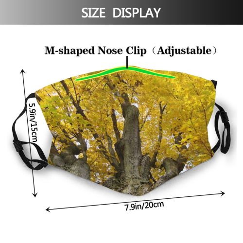 yanfind Texture Autumn Woody Shellbark Plant Fall Branch Forest Bark Leaf Tree Tree Dust Washable Reusable Filter and Reusable Mouth Warm Windproof Cotton Face