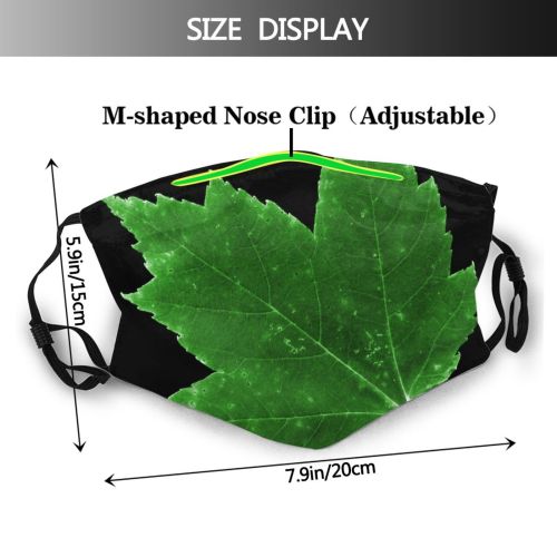 yanfind Maple Autumn Woody Leaves Maple Plant Fall Grape Plane Flower Leaf Leaf Dust Washable Reusable Filter and Reusable Mouth Warm Windproof Cotton Face