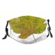 yanfind Maple Autumn Woody Leaves Maple Plant Fall Plane Flower Flowering Leaf Leaf Dust Washable Reusable Filter and Reusable Mouth Warm Windproof Cotton Face