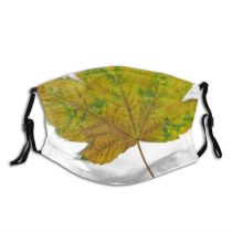 yanfind Maple Autumn Woody Leaves Maple Plant Fall Plane Flower Flowering Leaf Leaf Dust Washable Reusable Filter and Reusable Mouth Warm Windproof Cotton Face