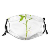 yanfind Plant Alpha Pedicel Plant Stem Flower Botany Flowering Leaf Channel Flower Path Dust Washable Reusable Filter and Reusable Mouth Warm Windproof Cotton Face