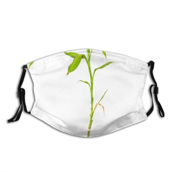 yanfind Plant Alpha Pedicel Plant Stem Flower Botany Flowering Leaf Channel Flower Path Dust Washable Reusable Filter and Reusable Mouth Warm Windproof Cotton Face