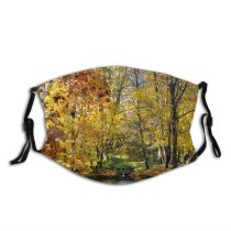 yanfind Deciduous Colours Landscape Leaf Trees Reflection Tree Plant Autumn Natural Woody Bank Dust Washable Reusable Filter and Reusable Mouth Warm Windproof Cotton Face