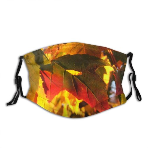 yanfind Maple Dusk Autumn Woody Leaves Maple Plant Fall Leaf Leaf Tree Tree   Dust Washable Reusable Filter and Reusable Mouth Warm Windproof Cotton Face