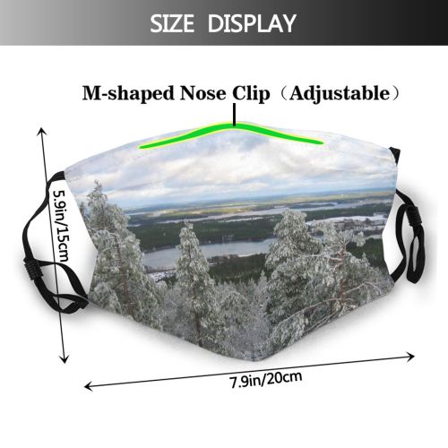 yanfind Winter Winter Natural Landscape Sky Plant Ice Forrest Branch Snow Scene Side Dust Washable Reusable Filter and Reusable Mouth Warm Windproof Cotton Face