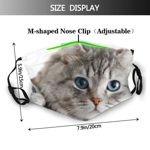 yanfind Hospital Fur Professional Stethoscope Young Cat Kitty Cute Clinic Vet Grey Medical Dust Washable Reusable Filter and Reusable Mouth Warm Windproof Cotton Face