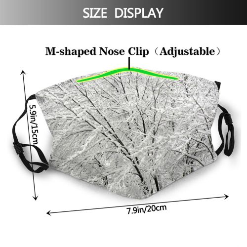 yanfind Winter Winter Woody Accumulation Landscape Branch Snow Forest Twig Tree Frost Trees Dust Washable Reusable Filter and Reusable Mouth Warm Windproof Cotton Face