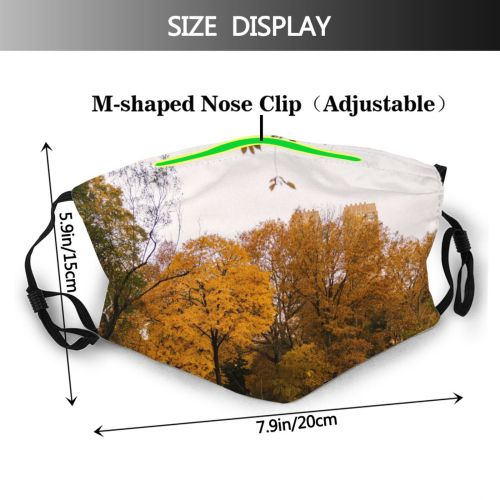 yanfind Idyllic Autumn Foliage Woodland Daylight Branch Calm Flora Park Forest Daytime Tranquil Dust Washable Reusable Filter and Reusable Mouth Warm Windproof Cotton Face
