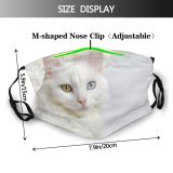 yanfind Lay Fur Bed Cat Kitty Cute Pure Turkish Cozy Van Cuteness Creme Dust Washable Reusable Filter and Reusable Mouth Warm Windproof Cotton Face