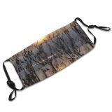 yanfind Mirror Sunset Sun Lake Landscape Sky Romania Sunrise Branch Tree Morning Natural Dust Washable Reusable Filter and Reusable Mouth Warm Windproof Cotton Face