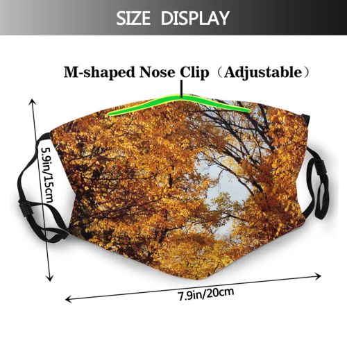 yanfind Temperate Autumn Woody Leaves Plant Fall Broadleaf Branch Forest Leaf Hardwood Northern Dust Washable Reusable Filter and Reusable Mouth Warm Windproof Cotton Face