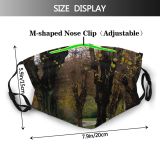yanfind Temperate Path Bushes Natural Autumn Landscape Fall Broadleaf Forest Glowing Leaf Tree Dust Washable Reusable Filter and Reusable Mouth Warm Windproof Cotton Face