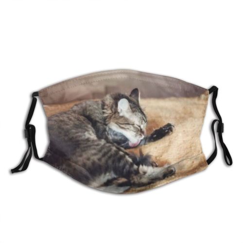 yanfind Comfortable Lick Washes Whisker Fur Young Striped Cat Kitty Cute Emotions Room Dust Washable Reusable Filter and Reusable Mouth Warm Windproof Cotton Face