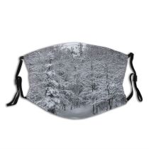 yanfind Winter Tree Tree Branch Frost Winter Forest Freezing Atmospheric Snow Dust Washable Reusable Filter and Reusable Mouth Warm Windproof Cotton Face