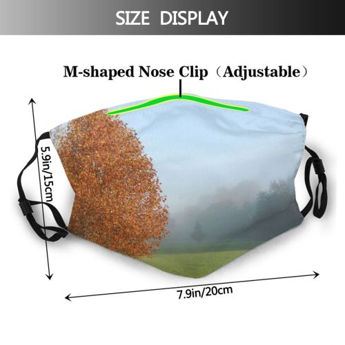yanfind Morning Natural Atmospheric Golden Autumn Woody Liriodendron Leaves Landscape Sky Tulip Leaf Dust Washable Reusable Filter and Reusable Mouth Warm Windproof Cotton Face