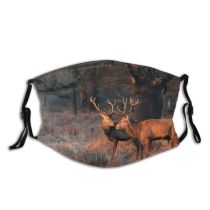yanfind Dawn Public Thames Rutting Richmond Wild Fallow London Stag Sunrise Forest UK Dust Washable Reusable Filter and Reusable Mouth Warm Windproof Cotton Face