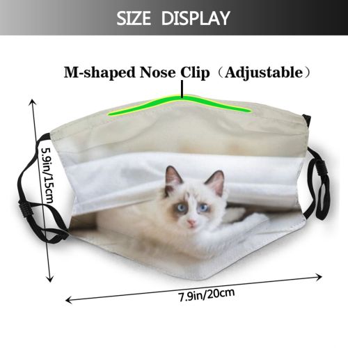 yanfind Comfortable Bedroom Bed Cat Kitty Cute Pampered Resting Sneezing Cozy Bedding Interior Dust Washable Reusable Filter and Reusable Mouth Warm Windproof Cotton Face