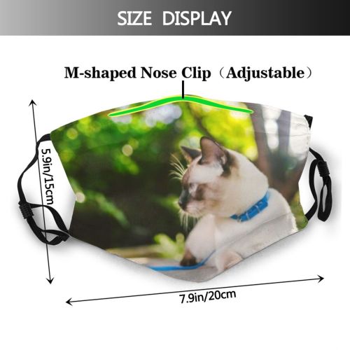 yanfind Bobtail Lovely Fur Authentic Young Meow Cat Cute Harness Yard Mekong Strength Dust Washable Reusable Filter and Reusable Mouth Warm Windproof Cotton Face