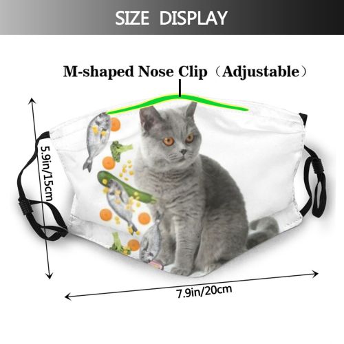 yanfind Isolated Assortment Vegetable Meow Cat Kitty British Cute Carnivore Raw Flying Shorthair Dust Washable Reusable Filter and Reusable Mouth Warm Windproof Cotton Face