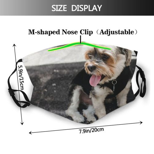 yanfind Idyllic Sit Dog Calm Pavement Rough Friendly Yorkshire Cute Road Chordate Attentive Dust Washable Reusable Filter and Reusable Mouth Warm Windproof Cotton Face