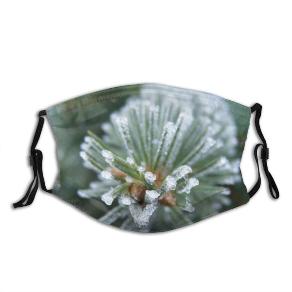 yanfind Winter Flower Frozen Christmas Bushes Winter Balsam Plant Flowers Bush Flower Canadian Dust Washable Reusable Filter and Reusable Mouth Warm Windproof Cotton Face