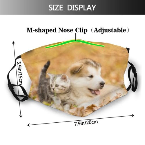 yanfind Malamute Young Relations Together Little Cat Cute Friendly Tiny Away Dog Fall Dust Washable Reusable Filter and Reusable Mouth Warm Windproof Cotton Face
