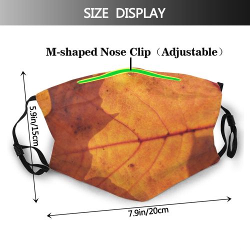 yanfind Maple Perspective Autumn Landscape Maple Plant Leaf Forest Leaf Sunshine Tree Tree Dust Washable Reusable Filter and Reusable Mouth Warm Windproof Cotton Face