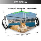 yanfind Connection Connecting Cat Vacation Cute Turkish Old Exterior Stray Tourism Historic Bridge Dust Washable Reusable Filter and Reusable Mouth Warm Windproof Cotton Face