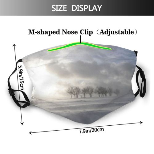 yanfind Morning Winter Atmospheric Blizzard Cloud Sky Snow Tree Tree Storm Daytime Trees Dust Washable Reusable Filter and Reusable Mouth Warm Windproof Cotton Face