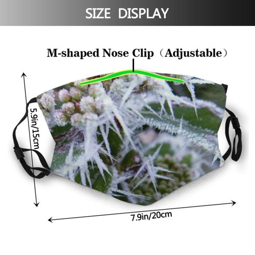 yanfind Winter Flower Frost Subshrub Friedmann Heracleum Plant Ice Flower Flowering Leaf Frost Dust Washable Reusable Filter and Reusable Mouth Warm Windproof Cotton Face
