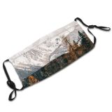 yanfind Idyllic Ice Pine Frosty Mountain Enviroment Icy Coniferous Frozen Tranquil Covered Mountains Dust Washable Reusable Filter and Reusable Mouth Warm Windproof Cotton Face