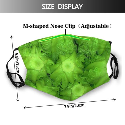 yanfind Lettuce Onions Salmon Vegetable Plant Island Cruciferous Cabbage Iceburg Leaf Savoy Vegetable Dust Washable Reusable Filter and Reusable Mouth Warm Windproof Cotton Face