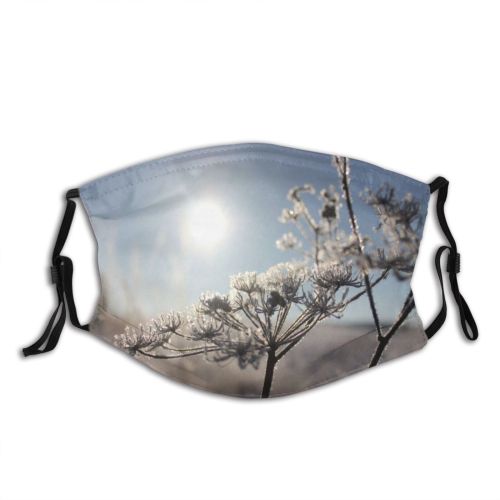 yanfind Winter Frozen Frost Freeze Winter Natural Sun Frosty Landscape Sky Ice Branch Dust Washable Reusable Filter and Reusable Mouth Warm Windproof Cotton Face