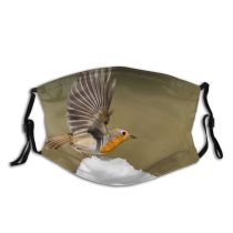 yanfind Europe Passerine Bird Snow Foreground Robin Camera Spread Stone Focus Attacking Perching Dust Washable Reusable Filter and Reusable Mouth Warm Windproof Cotton Face