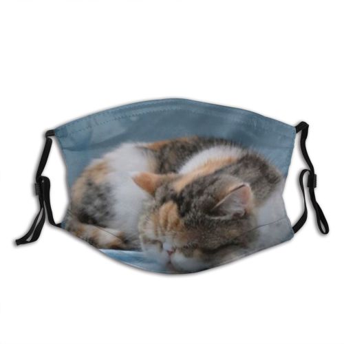 yanfind Isolated Fur Young Cat Kitty Cute Beautiful Pretty Face Wash Pet Sleep Dust Washable Reusable Filter and Reusable Mouth Warm Windproof Cotton Face