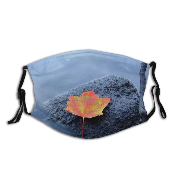 yanfind Maple Stem Grey Autumn Reflection Calm Fall Sky Plant Peaceful Rock Leaf Dust Washable Reusable Filter and Reusable Mouth Warm Windproof Cotton Face
