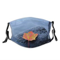 yanfind Maple Stem Grey Autumn Reflection Calm Fall Sky Plant Peaceful Rock Leaf Dust Washable Reusable Filter and Reusable Mouth Warm Windproof Cotton Face