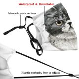 yanfind Isolated Cheeks Cat Cute Muzzle Shorthairflattened Design Colorized Beautiful Pet Eyes Art Dust Washable Reusable Filter and Reusable Mouth Warm Windproof Cotton Face