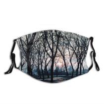 yanfind Winter Natural Winter Atmospheric Woody Snow Landscape Sky Branch Afternoon Milano Tree Dust Washable Reusable Filter and Reusable Mouth Warm Windproof Cotton Face