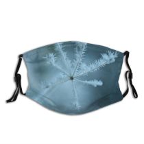 yanfind Winter Frozen Frost Ground Winter Leaves Sky Plant Ice Leaf Organism Frost Dust Washable Reusable Filter and Reusable Mouth Warm Windproof Cotton Face