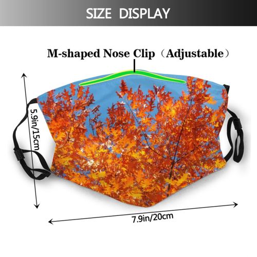 yanfind Temperate Maple Autumn Woody Leaves Plant Fall Broadleaf Flower Forest Leaf Hardwood Dust Washable Reusable Filter and Reusable Mouth Warm Windproof Cotton Face