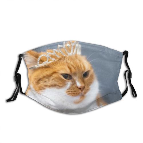 yanfind Isolated Smile Young Cat Cute Prince Design Beautiful Pretty Pet Queen Costume Dust Washable Reusable Filter and Reusable Mouth Warm Windproof Cotton Face