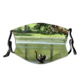 yanfind Fly Duck Asas River Bird Pond Lago Ave Bird Flying Swan Rio Dust Washable Reusable Filter and Reusable Mouth Warm Windproof Cotton Face