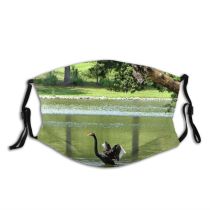yanfind Fly Duck Asas River Bird Pond Lago Ave Bird Flying Swan Rio Dust Washable Reusable Filter and Reusable Mouth Warm Windproof Cotton Face