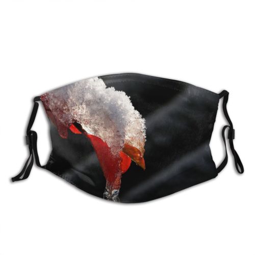 yanfind Drop Winter Frozen Ice Melting Snow Winter Freezing Icicle Snow Dust Washable Reusable Filter and Reusable Mouth Warm Windproof Cotton Face