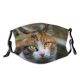 yanfind Fur Young Cat Kitty Cute Downy Colorful Homebred Flow Homelike Household Excellent Dust Washable Reusable Filter and Reusable Mouth Warm Windproof Cotton Face