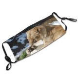yanfind Winter Felidae Big Tongue Wilderness Carnivore Cat Pad Lion Whiskers Vertebrate Cats Dust Washable Reusable Filter and Reusable Mouth Warm Windproof Cotton Face
