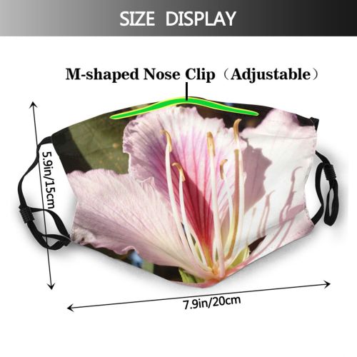 yanfind Winter Flower Texture Tulip Spring Plant Flowers Petal Flower Flowering Plants Garden Dust Washable Reusable Filter and Reusable Mouth Warm Windproof Cotton Face