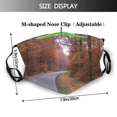 yanfind Lane Road Deciduous Landscape Leaf Trees Infrastructure Tree Forest Road Natural Autumn Dust Washable Reusable Filter and Reusable Mouth Warm Windproof Cotton Face